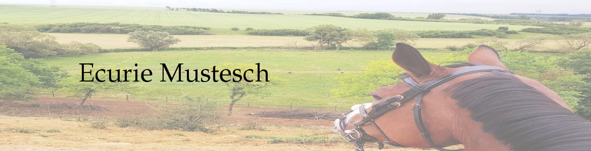 Ecurie Mustesch